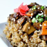 Teriyaki Rice Delight: A Flavorful Journey in Every Bite